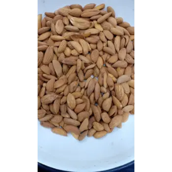 Organic Kagzi Almonds